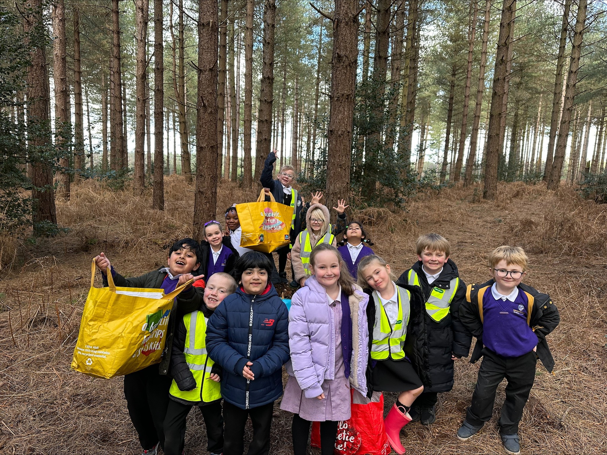 Year 2 - Trip to Fritton Woods & Bug Hotels!